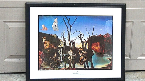 Salvador dali framed - dali,