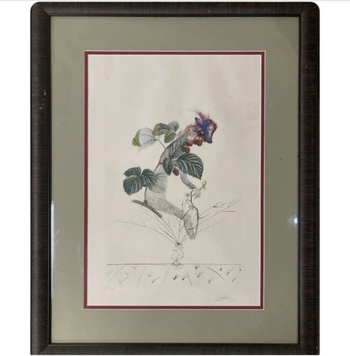 Salvador dali original - salvador,